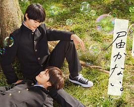 123在线视频免费观看